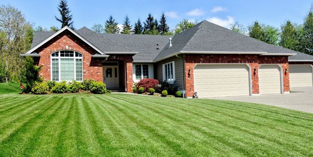 Lebanon Grass Cutting Services