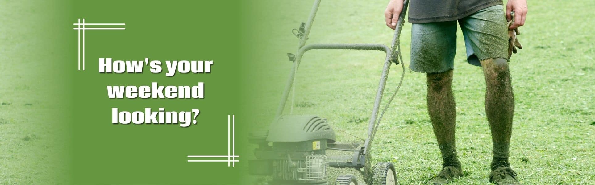 Cincinnati Lawn Care Companies Cincinnati Lawn Care Companies