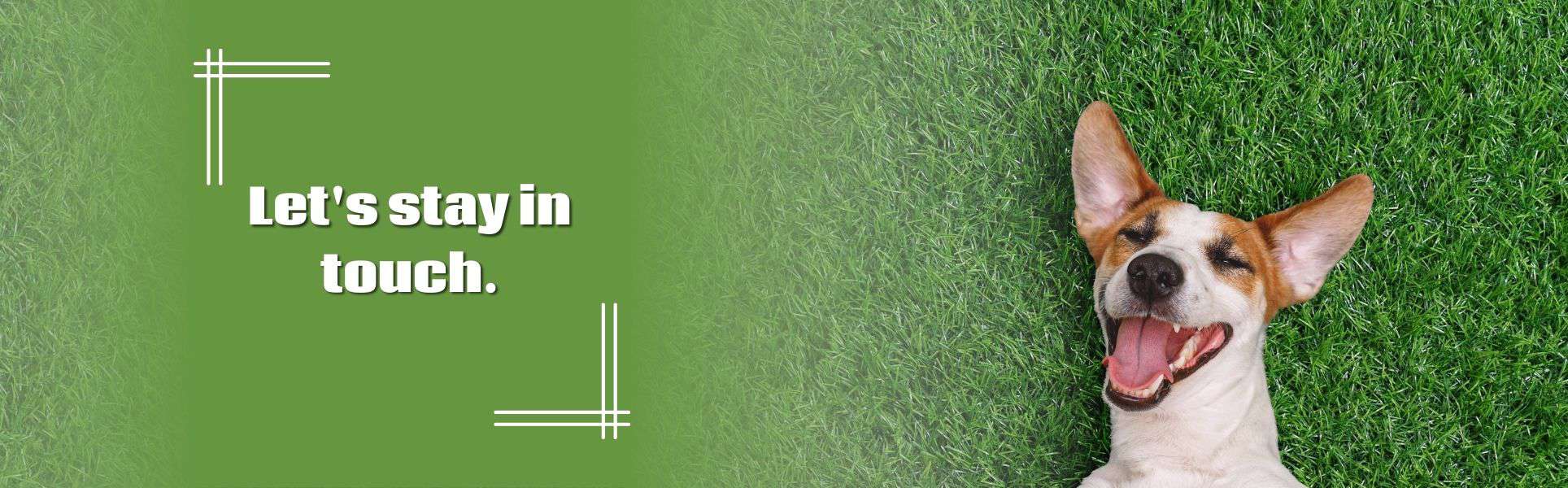 Cincinnati Lawn Care Companies