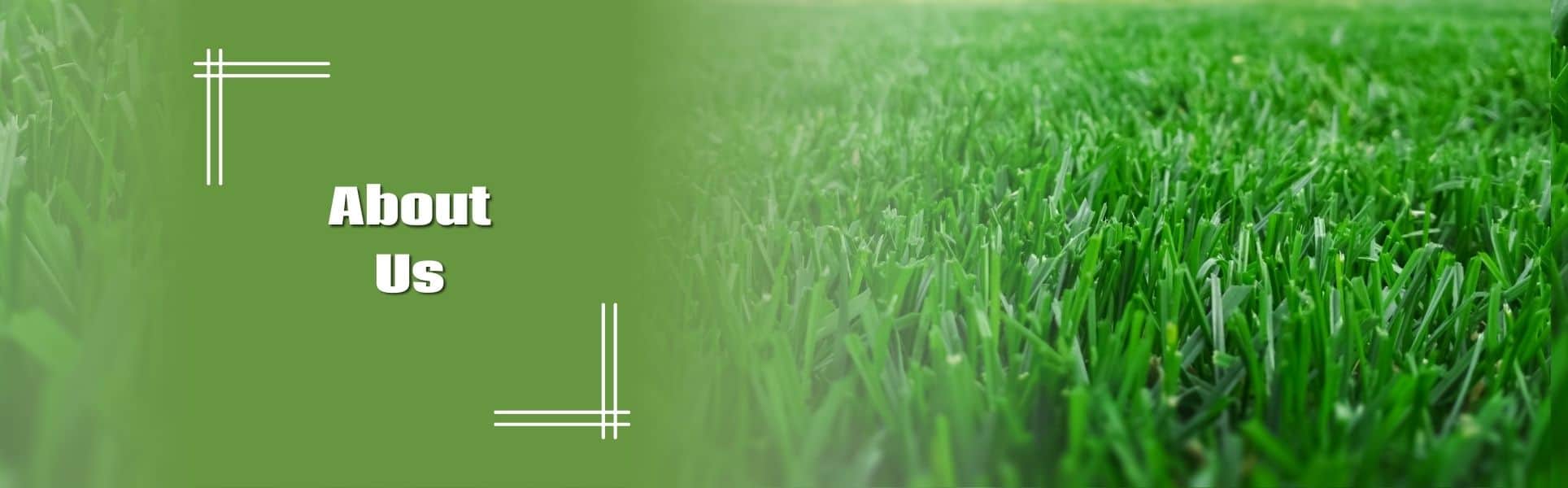 Waynesville Lawn Companies Waynesville Lawn Companies