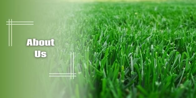 Best Springboro Lawn Companies Best Springboro Lawn Companies