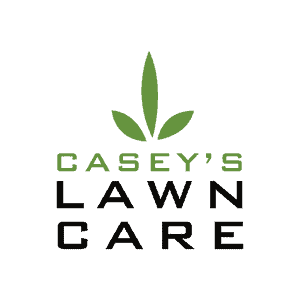 Casey Kiger Casey Kiger
