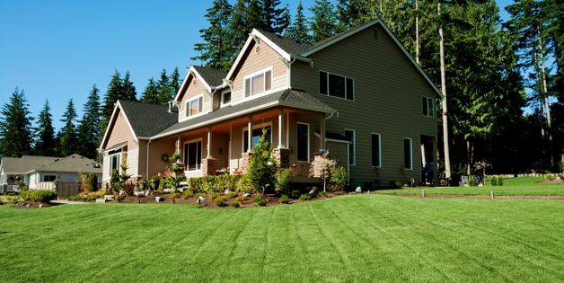 Professional Lawn Mowers Near Me