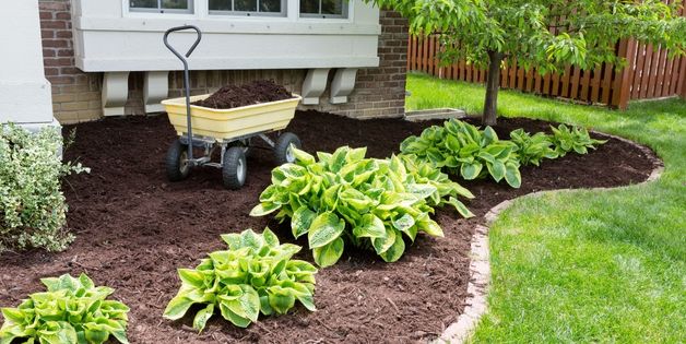 Summer garden maintenance