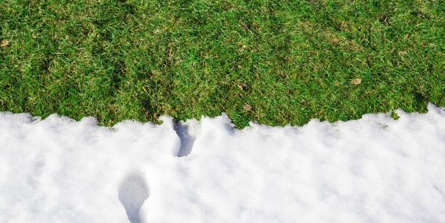 Winter Yard Cleanup