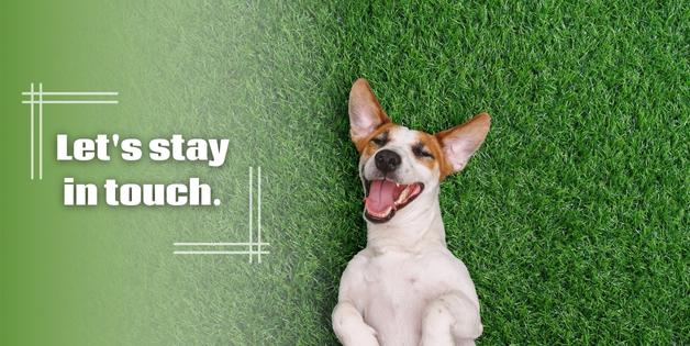 Best Lawn Mowing Service in Cincinnati