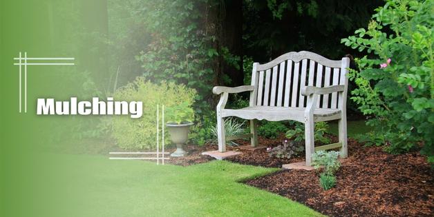 Waynesville Mulching Service Waynesville Mulching Service