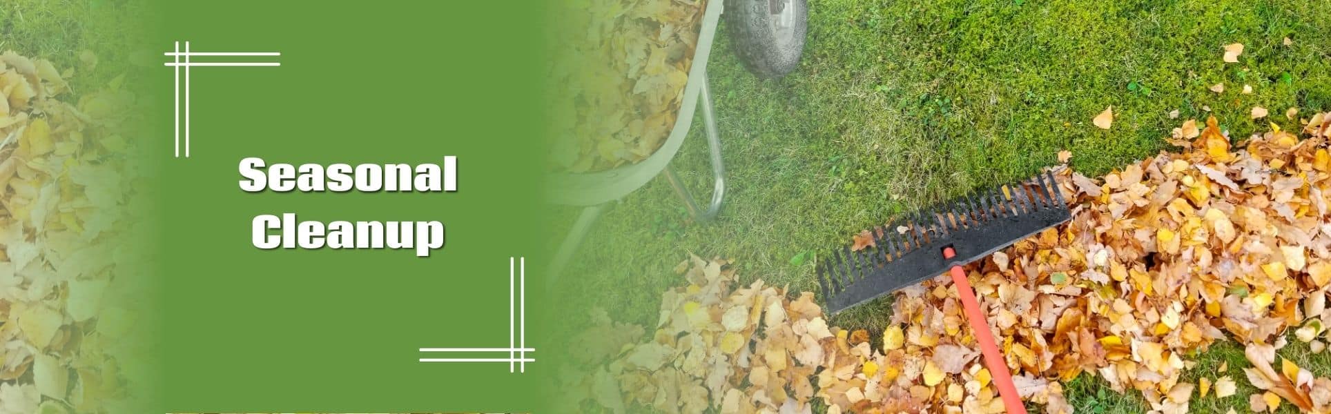 Waynesville Leaf Removal